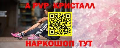 эйфоретик Аргун
