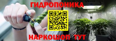 jwh Апшеронск